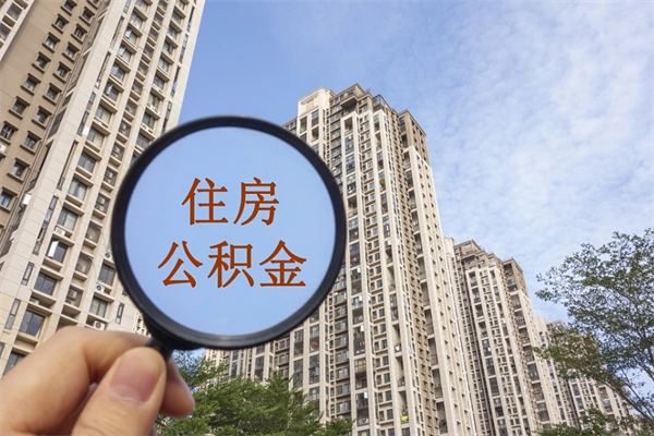 攸县深圳公积金（深圳公积金首页）